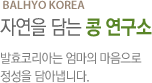 자연을 담는 콩 연구소