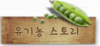 유기농 스토리